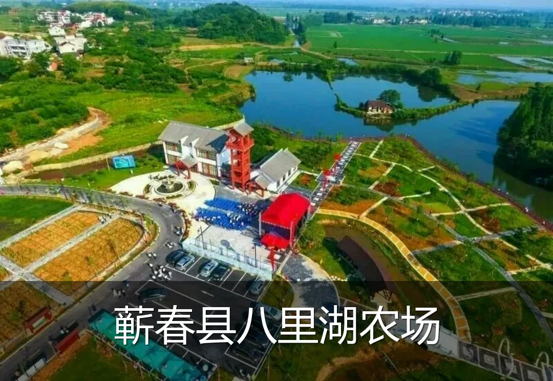 蕲春县八里湖农场