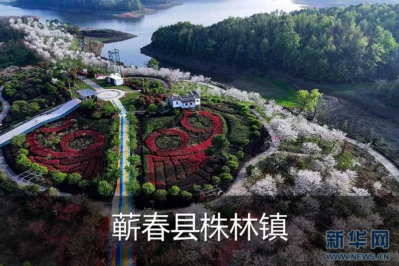 蕲春县株林镇